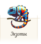 Атлас экзотических животных ZooAtlas.ru