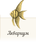 Атлас обитателей аквариума ZooAtlas.ru